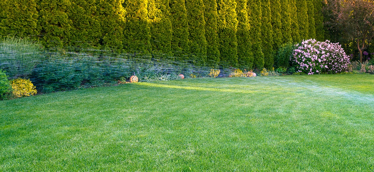 Spring Is Here: Time to Turn Your Irrigation System Back On