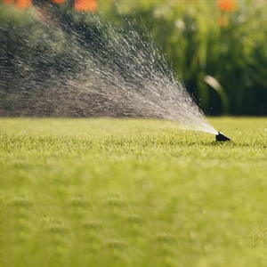 What an Irrigation Company Is NOT:...