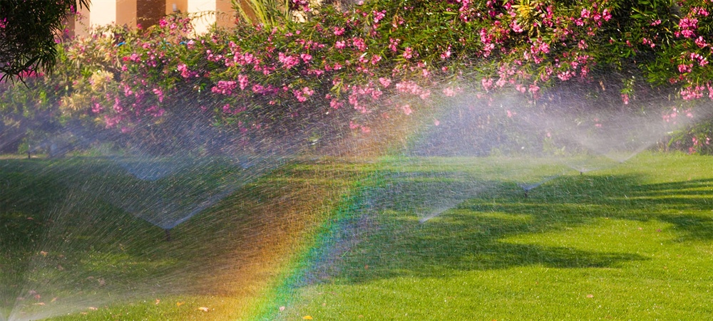 Why We’re Extending Our $250 Off New Irrigation Installation Special Through the End of 2026