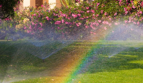 Why We’re Extending Our $250 Off New Irrigation Installation Special Through the End of 2026
